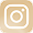 LogoInstagram