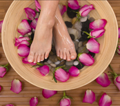 Day SPA