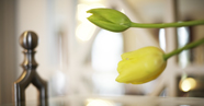 Ostern