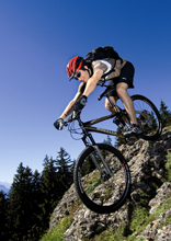 Wheeler Mountainbike Wheeler Mountainbike