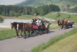 Horse carriage